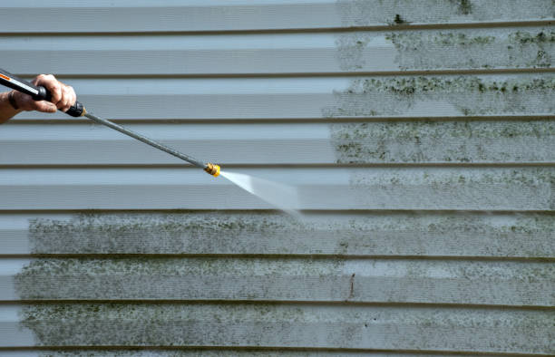 Best Gutter Cleaning  in Bolivar, WV